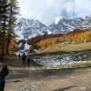 DSCF0195