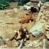 capre_4_corna_01