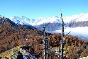 Il Monterosa dal Pizzetto